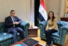 وزيرا الإسكان والتضامن يبحثان تسهيل إجراءات ترخيص الحضانات