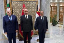 وزراء خارجية مصر وتونس والجزائر يعقدون اجتماعًا ثلاثيًا لدعم استقرار ليبيا