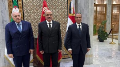 وزراء خارجية مصر وتونس والجزائر يعقدون اجتماعًا ثلاثيًا لدعم استقرار ليبيا