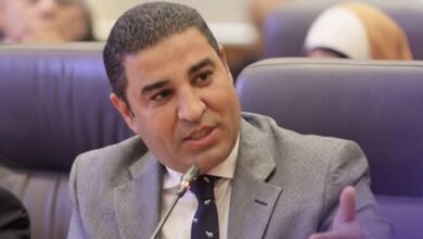 تعيين الدكتور مصطفى ثابت عميدًا لكلية الحاسبات والمعلومات بجامعة النهضة