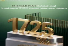 بعائد شهري ثابت 17.25%..  تفاصيل ومزايا شهادة «إيميرالد بلس» من البنك العربي الأفريقي 