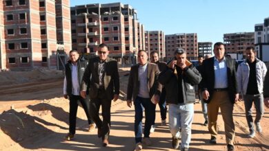 جولة ميدانية لمسؤولي «المجتمعات العمرانية» لمتابعة مشروعات حدائق العاشر والعبور الجديدة جولة ميدانية لمسؤولي «المجتمعات العمرانية» لمتابعة مشروعات حدائق العاشر والعبور الجديدة