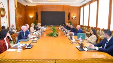 مشاورات سياسية بين مصر وإيرلندا لدعم العلاقات الثنائية والتشاور حول التطورات الإقليمية والدولية