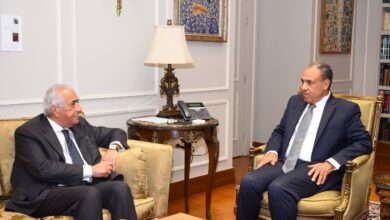 وزير الخارجية يبحث مع غرفة التجارة الأمريكية تعزيز الشراكة الاقتصادية بين مصر والولايات المتحدة