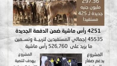 وزير الزراعة يوافق على صرف أكثر من 297 مليون جنيه تمويلاً جديداً لمشروع البتلو لصالح 425 مستفيد