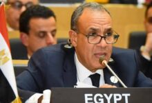 وزير الخارجية: مصر تسعى لتعزيز دور أفريقيا في مجموعة العشرين