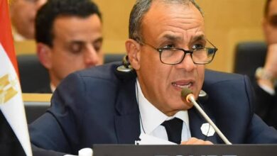 وزير الخارجية: مصر تسعى لتعزيز دور أفريقيا في مجموعة العشرين وزير الخارجية: مصر تسعى لتعزيز دور أفريقيا في مجموعة العشرين
