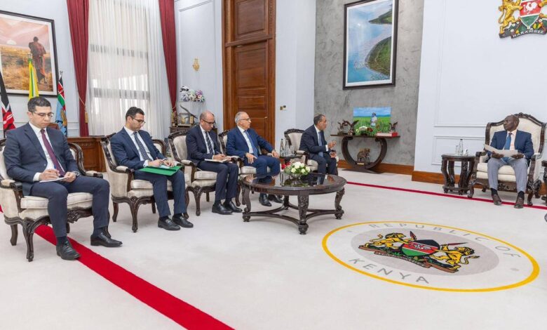 وزير الخارجية: 100 مليون دولار من مصر لدعم السدود في كينيا