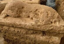 بعثة أثرية مصرية صينية تكشف عن مبنى من الحجر الجيري بمنطقة ميت رهينة