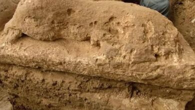 بعثة أثرية مصرية صينية تكشف عن مبنى من الحجر الجيري بمنطقة ميت رهينة