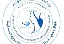 استكمال تنمية بحيرة وادي الريان بإنزال 460 ألف وحدة زريعة طوبار