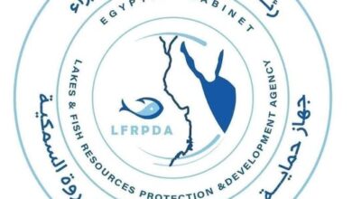 استكمال تنمية بحيرة وادي الريان بإنزال 460 ألف وحدة زريعة طوبار