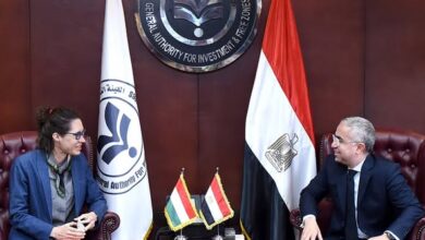 هيئة الاستثمار تبحث تعزيز الشراكة الاستثمارية بين مصر والمجر