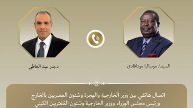 وزير الخارجية يجرى اتصالًا هاتفيًا مع نظيره الكيني لتعزيز الشراكة بين البلدين