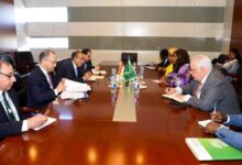 وزير الخارجية يبحث التعاون الاقتصادي مع مفوضة الاتحاد الأفريقي