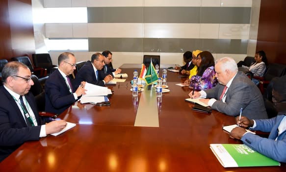 وزير الخارجية يبحث التعاون الاقتصادي مع مفوضة الاتحاد الأفريقي