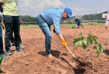 مصر تطلق مبادرة يوم “أوموجاندا” لحماية البيئة بالتعاون مع رواندا