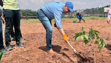 مصر تطلق مبادرة يوم “أوموجاندا” لحماية البيئة بالتعاون مع رواندا