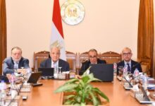 وزير الخارجية يفتتح الاجتماع الأول لمجلس أمناء الوكالة المصرية للشراكة من أجل التنمية