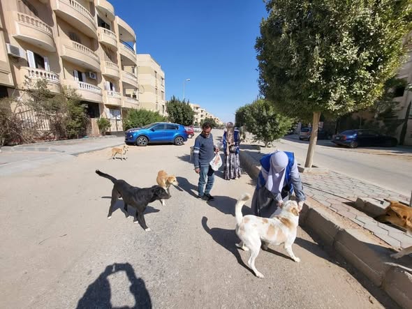 “الزراعة”: تحصين 8,254 كلب حر وتعقيم 1,122 أخرين منذ إطلاق الحملة القومية لمكافحة مرض السعار