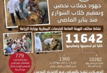“الزراعة”: تحصين وتعقيم أكثر من 11 ألف كلب حر وتنفذ 779 ندوة إرشادية لرفع الوعي المجتمعي