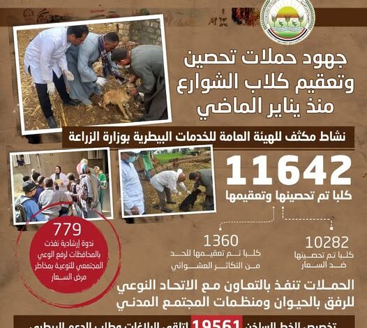 “الزراعة”: تحصين وتعقيم أكثر من 11 ألف كلب حر وتنفذ 779 ندوة إرشادية لرفع الوعي المجتمعي