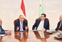 وزيرا الزراعة والري يترأسان اجتماع اللجنة التنسيقية المشتركة لتطوير المساقي