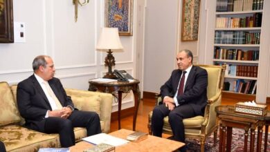 وزير الخارجية يبحث التعاون مع الجامعة البريطانية في مصر