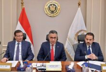 لضبط الأسواق.. استيراد دواجن مجمدة قبل رمضان وعرضها بأسعار مخفضة