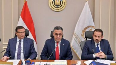 لضبط الأسواق.. استيراد دواجن مجمدة قبل رمضان وعرضها بأسعار مخفضة