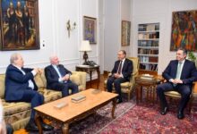 وزير الخارجية: مصر تؤكد دعمها الكامل للقضية الفلسطينية