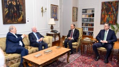 وزير الخارجية: مصر تؤكد دعمها الكامل للقضية الفلسطينية