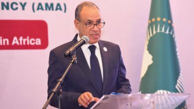 وزير الخارجية يطرح رؤية مصر الشاملة لتعزيز التصنيع الدوائي والأمن الصحي في أفريقيا وزير الخارجية يطرح رؤية مصر الشاملة لتعزيز التصنيع الدوائي والأمن الصحي في أفريقيا