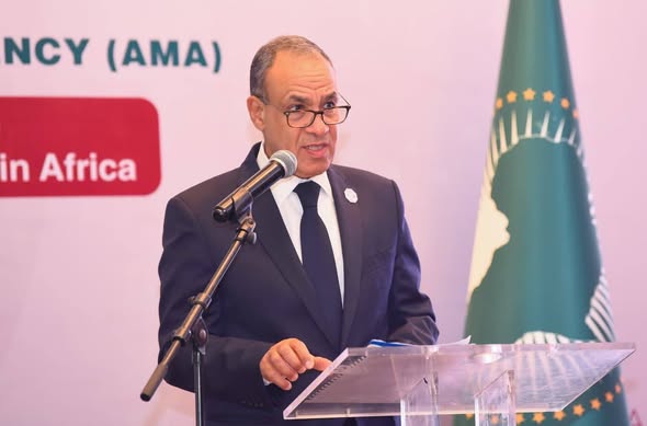 وزير الخارجية يطرح رؤية مصر الشاملة لتعزيز التصنيع الدوائي والأمن الصحي في أفريقيا