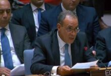 وزير الخارجية: مصر تدعم تسوية عادلة للقضية الفلسطينية ووقف الحرب في غزة