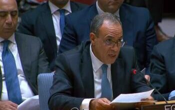 وزير الخارجية: مصر تدعم تسوية عادلة للقضية الفلسطينية ووقف الحرب في غزة