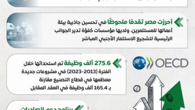 منظمة التعاون الاقتصادي: مصر تحقق تقدمًا في بيئة الأعمال وجذب الاستثمارات 