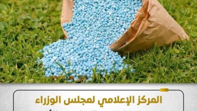 مجلس الوزراء: لا نقص في تقاوي وأسمدة القمح بالمنافذ الرسمية مجلس الوزراء: لا نقص في تقاوي وأسمدة القمح بالمنافذ الرسمية