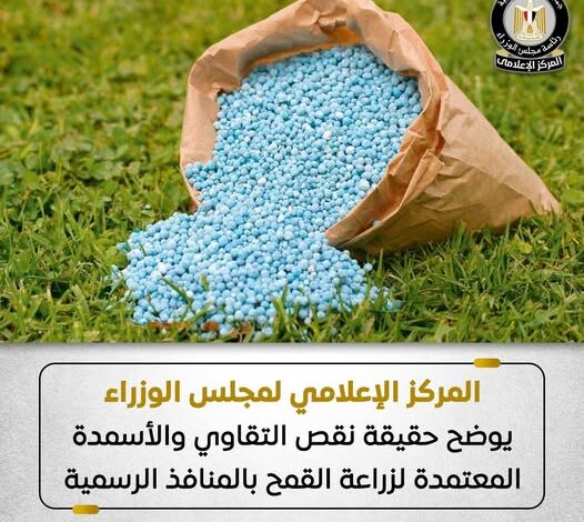 مجلس الوزراء: لا نقص في تقاوي وأسمدة القمح بالمنافذ الرسمية مجلس الوزراء: لا نقص في تقاوي وأسمدة القمح بالمنافذ الرسمية