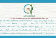 إعدام أغذية فاسدة وتحرير محاضر مخالفات.. “سلامة الغذاء” تكثف حملاتها الرقابية استعدادًا لرمضان