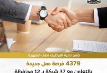 من التسويق إلى الفندقة.. وظائف شاغرة37 شركة قدم الآن