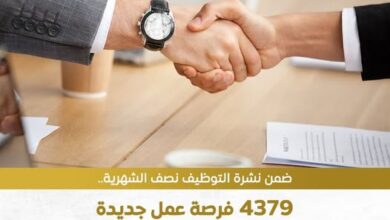 من التسويق إلى الفندقة.. وظائف شاغرة في 27  شركة قدم الآن