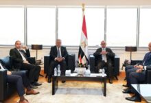 وزير الاستثمار تنسق بين 5 جهات للربط الإلكتروني وتيسير خدمات المستثمرين