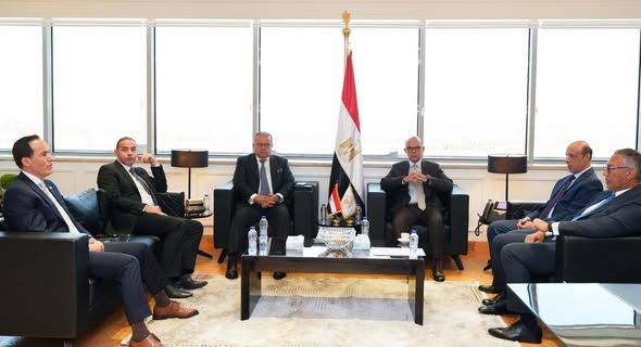 فريد: تنسيق بين 5 جهات للربط الإلكتروني وتيسير خدمات المستثمرين