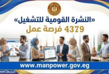 37  شركة توفر4397 فرصة عمل جديدة في 12 محافظة خلال فبراير 2026