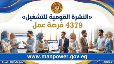 37 شركة توفر4397 فرصة عمل جديدة في 12 محافظة خلال فبراير 2026 37 شركة توفر4397 فرصة عمل جديدة في 12 محافظة خلال فبراير 2026