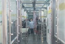 “التنمية المحلية” تعلن التشغيل التجريبي لمجزر بلطيم بكفر الشيخ بتكلفة 36.7 مليون جنيه