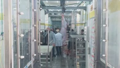 “التنمية المحلية” تعلن التشغيل التجريبي لمجزر بلطيم بكفر الشيخ بتكلفة 36.7 مليون جنيه