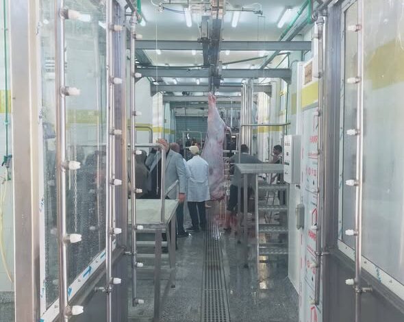 “التنمية المحلية” تعلن التشغيل التجريبي لمجزر بلطيم بكفر الشيخ بتكلفة 36.7 مليون جنيه