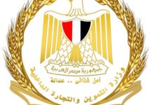 الدواجن المجمدة بـ115 جنيهًا: “الصناعات الغذائية” تضخ كميات كبيرة في منافذ “أهلًا رمضان”